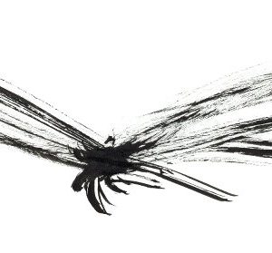 ink-drawing-dragonfly-inksect-insect