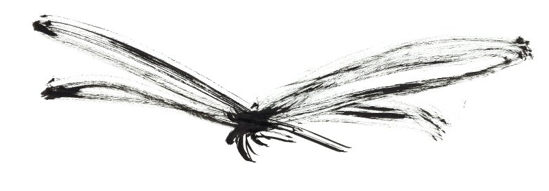 ink-drawing-dragonfly-inksect-insect