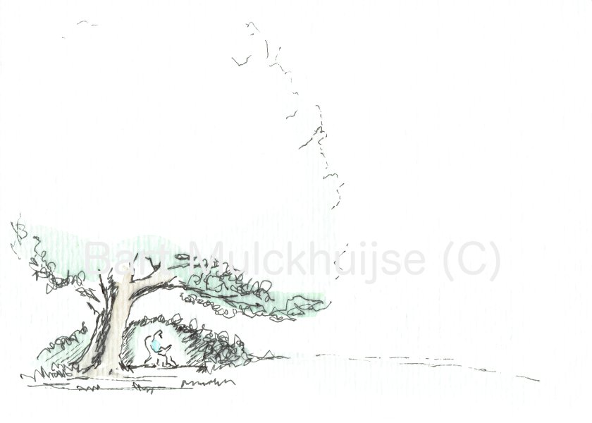 ink-aquarel-drawing-nut-tree