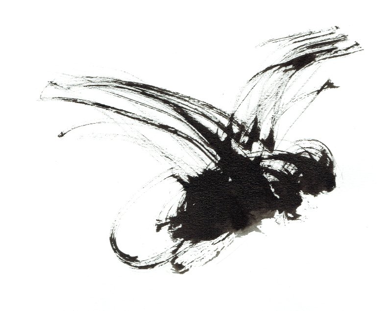 indian-ink-fly-1-painting