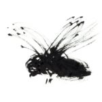ink-paintbrush-drawing-fly